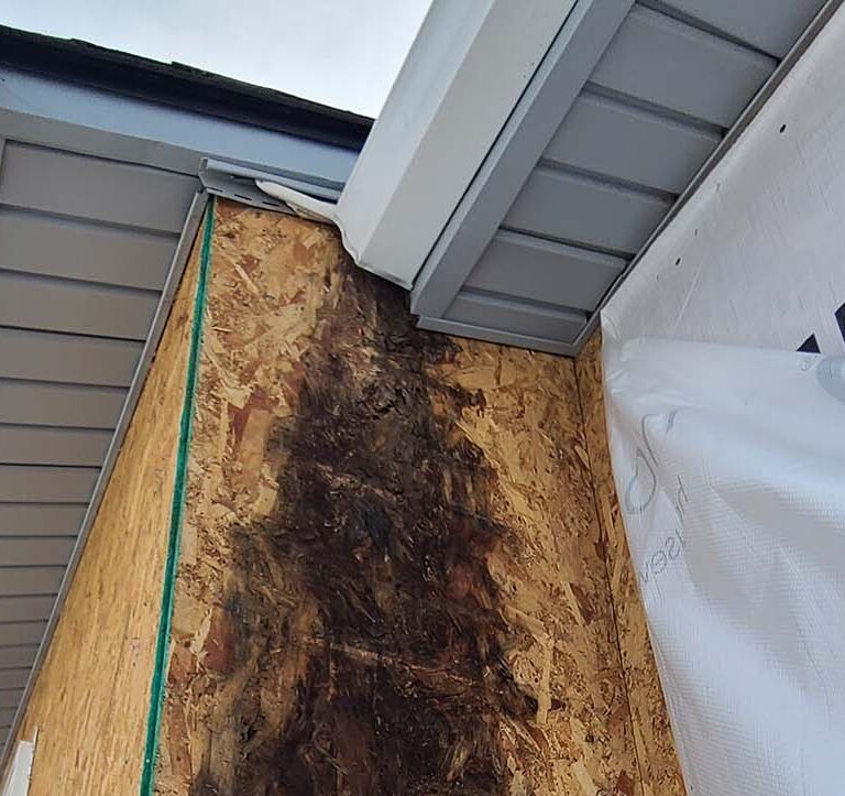 Lack of gutter maintenance creating mold issues discovered by Custom Exteriors during a siding replacement
